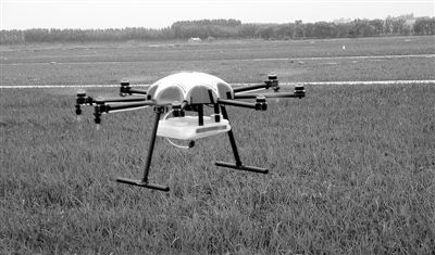 图为遥控水稻喷药机正在喷洒农药。