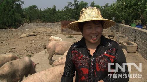 ³ɽأһŮ˵Ļɽμƣ¸