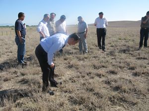 联合调查蝗虫发生情况