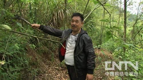湖南祁东县:倔强老头拿着养老钱进深山《致富经》
