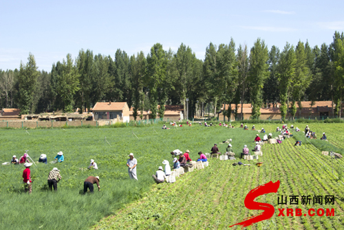 ɽ񣺡СֳǮ; ũ3000