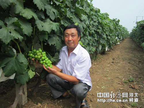 ӱκءƹѡΪũ񿪱¸·