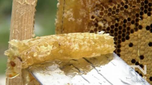 湖北来凤县:200本书改变性格 靠怪招赢得财富《致富经》3