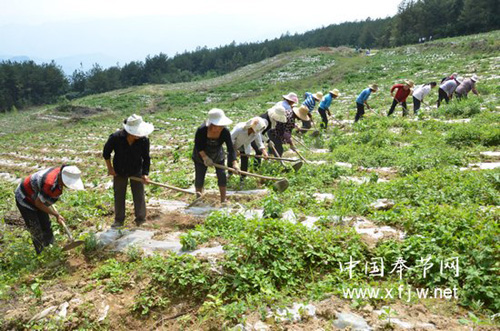 Ĵ򣺷ġС׽ԽԽ׬Ǯ