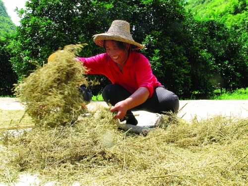 ǰջĽɹڴˮϡգͻصĿ̵չ