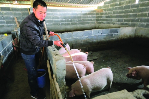 ������ڳ�ϴ��Ȧ��