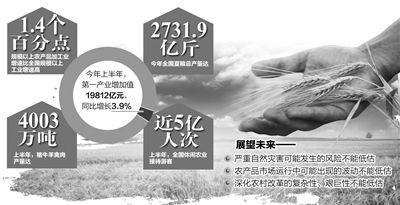 上半年农业农村经济亮点纷呈 增产有保障增收有动力