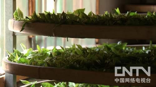 ¸£½¨¹âÔóÏØ£ºÂÅÕ½ÂŰÜȫʡÎÅÃûÖ®ºó¡¶Ö¸»¾¡·3