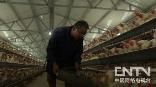 安徽怀远县:对高薪 房子 股份说不的人《致富经》2