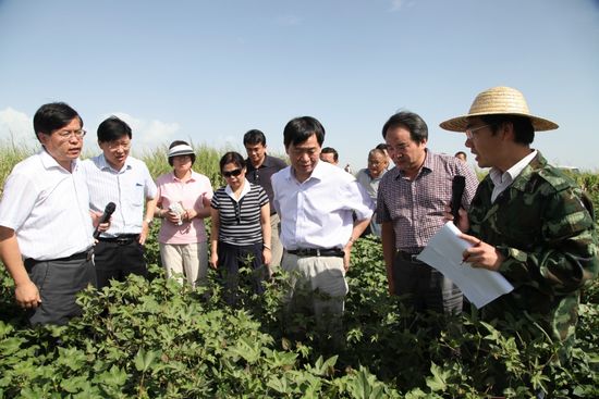 󣺴ƶִũҵչũҵƼ