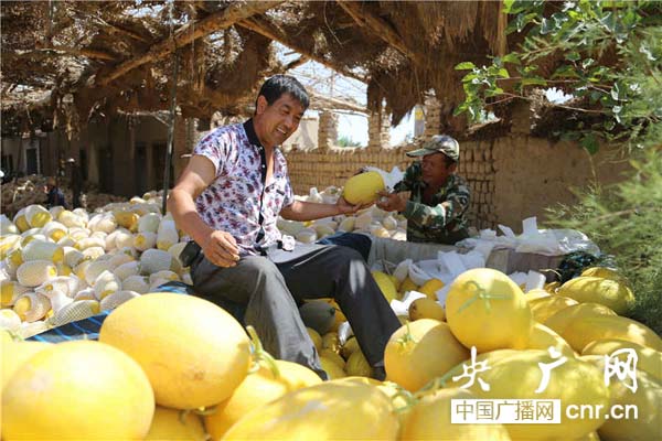 瓜商刑书正在选购哈密瓜