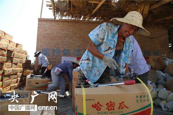 打包工安斌忙得不亦乐乎