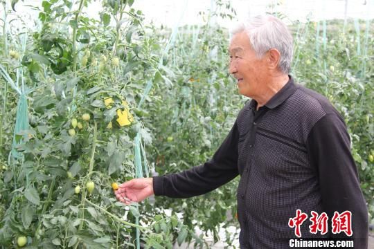 żҿڰ߲˲ῪĻÿ250߲˽