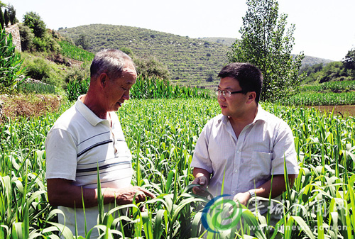 晋城大学生村官“老马”的杂粮致富路