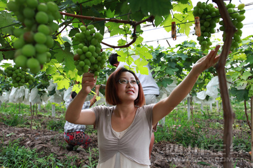 �Ĵ����ݣ���̬�¸����ڡ���ɫ�������š���ũ���õļ�����ҵ·