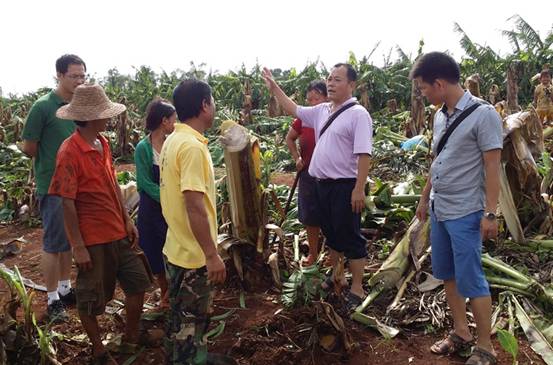 ָ���㽶�ֺ�ָ�����