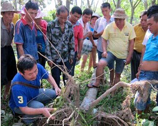 ָ��ȫ�����ĸ�ϵ��������