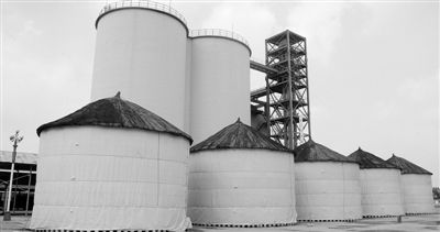 "藏粮于民"悄然变化 挑战传统农村粮食储备模式