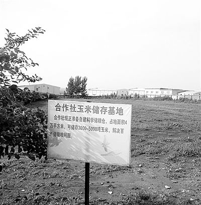 "藏粮于民"悄然变化 挑战传统农村粮食储备模式2