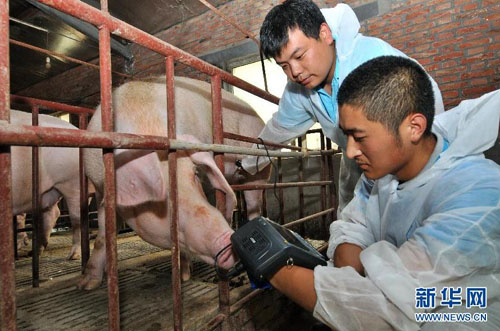 729գ𣨺󣩺ƸõļԱһΪĸB顣