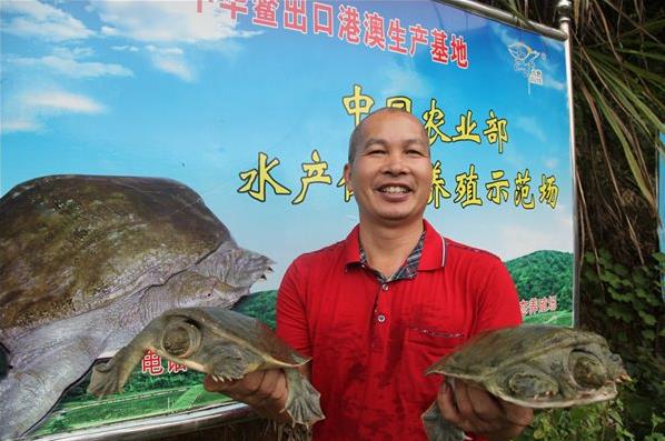 广东梅州梅江区钟宜佳——“甲鱼梦”让他过上好日子