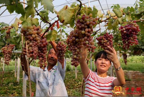 ��ѧ����١����ѽ㡱 ��Сΰ����̬ũҵ��2