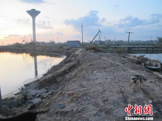 ͼΪ޶ų̃ݻٺʱ޽õķ̡ 