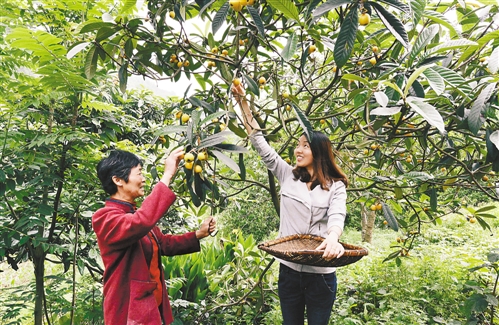一直靠种7亩土地过活的璧山县福禄镇和平村村民陈天碧最近“迷恋”上了果树的种植和林下养鸡。近日,当记者见到61岁的陈天碧时,她正拉着农技专家咨询林下鸡的疾病防御。