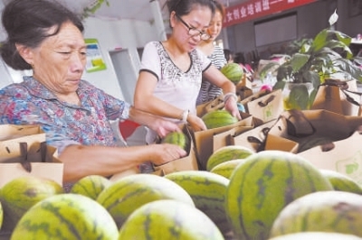 乡亲们总动员,帮忙包装西瓜,运往超市。