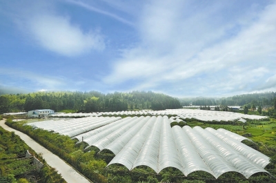 俯瞰美丽的恩辉生态农业园。