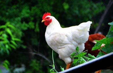 ����У�߲���������˾���ת��֮·