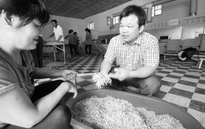 河南封丘县:朱长春和他的“金银花王国”