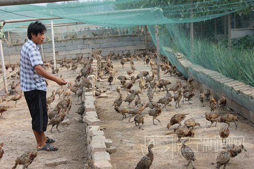 ߲ɽֳߵũ¸ ơҰζ֮3