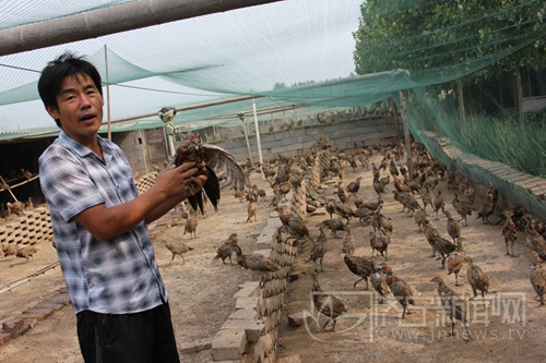 ߲ɽֳߵũ¸ ơҰζ֮2