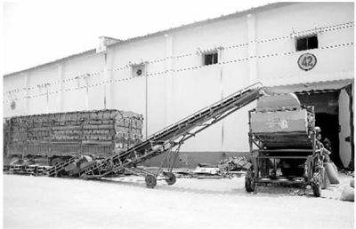 ҹÿʳʧ1000ڽ ʳԼҪȫ