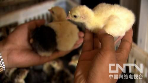 ˾4000ԪʼĲƸ桶¸3