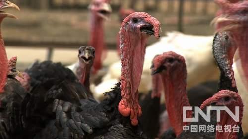 ˾4000ԪʼĲƸ桶¸4