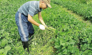 浙江龙门古镇:都市白领辞职下乡当农夫