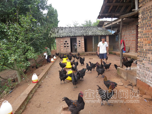 �˱��ذ׻�����δ壺ɢ���ڼ���Ǯ������