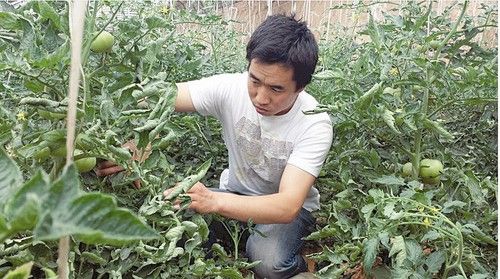 陈国明:带着智障母亲当村官