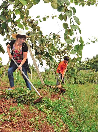 �Ĵ�ʯ����⨺���԰��Ĵ�ҵ��