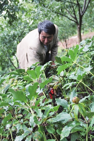 ̫ƽڴȥںµ6ֲֵ¥50Ԫ