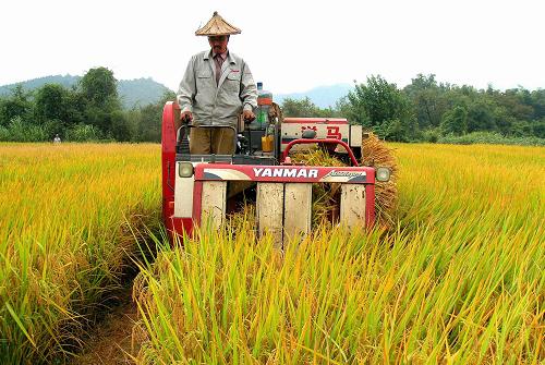 98գʡʯϴũʻũոе