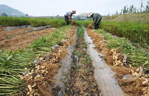 98գɽʡׯɽͤׯũջ