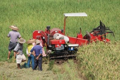 ����¡���أ�ũ����ͣ�ڡ���ũ������