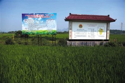 ����ũҵ13��Ķ����ת���ء�����