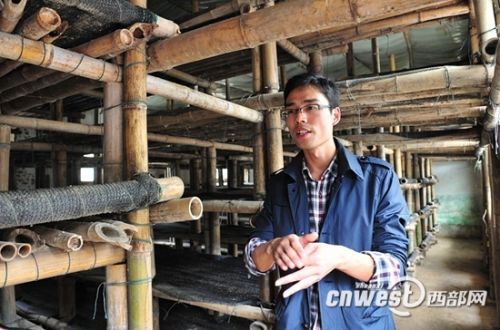 28岁的陈涛扎根农村,带领乡亲们共同致富。