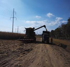 图4、自有美国进口先进收割机工作图 图4、自有美国进口先进收割机工作图