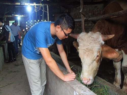 �Ĵ�������90���ѧ�����紴ҵ��ţ��