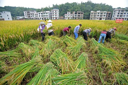 ںʡ¡ţδ塰900ӽʾԱոˮ924㣩